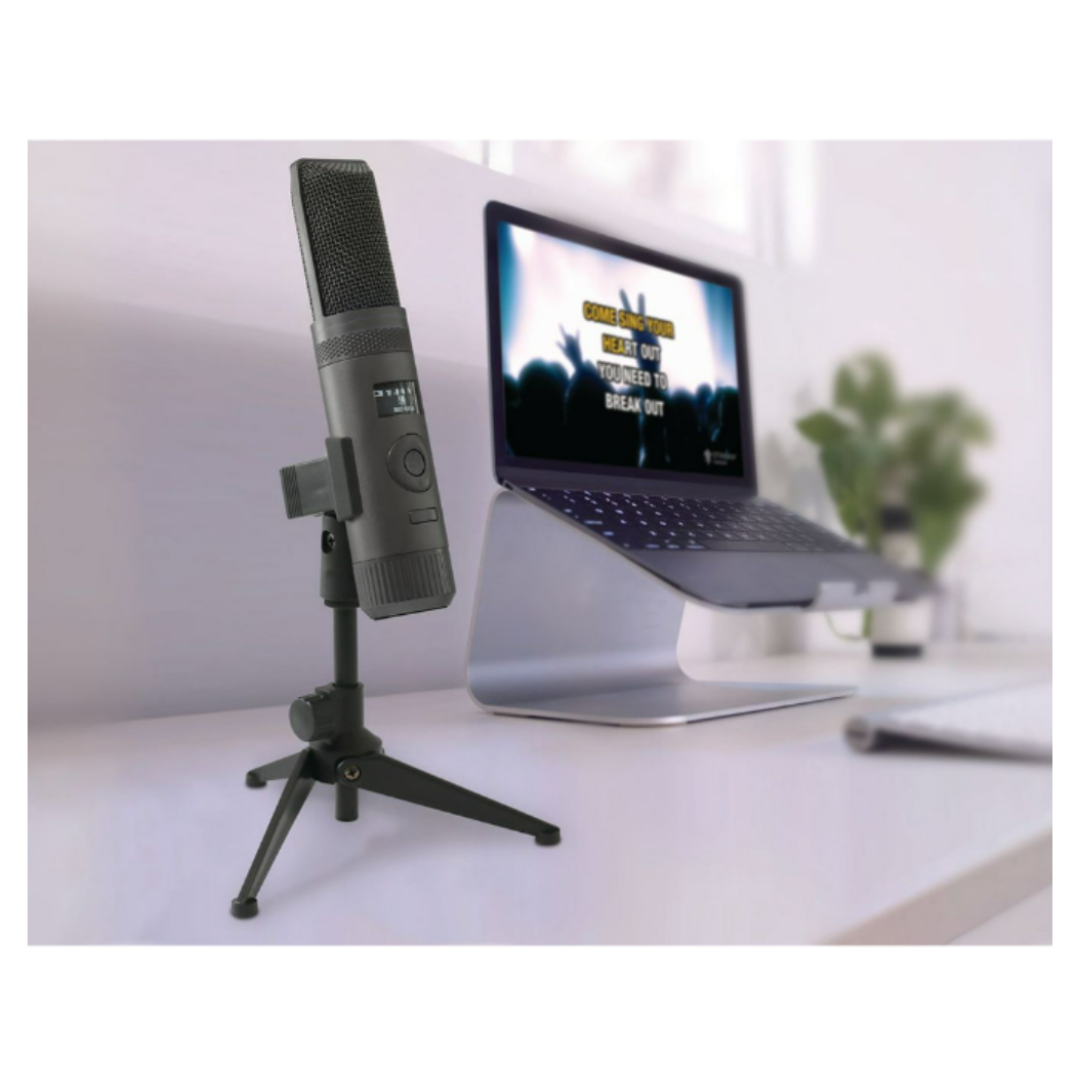 The Singing Machine All-In-One Microphone, Black, SMM2097