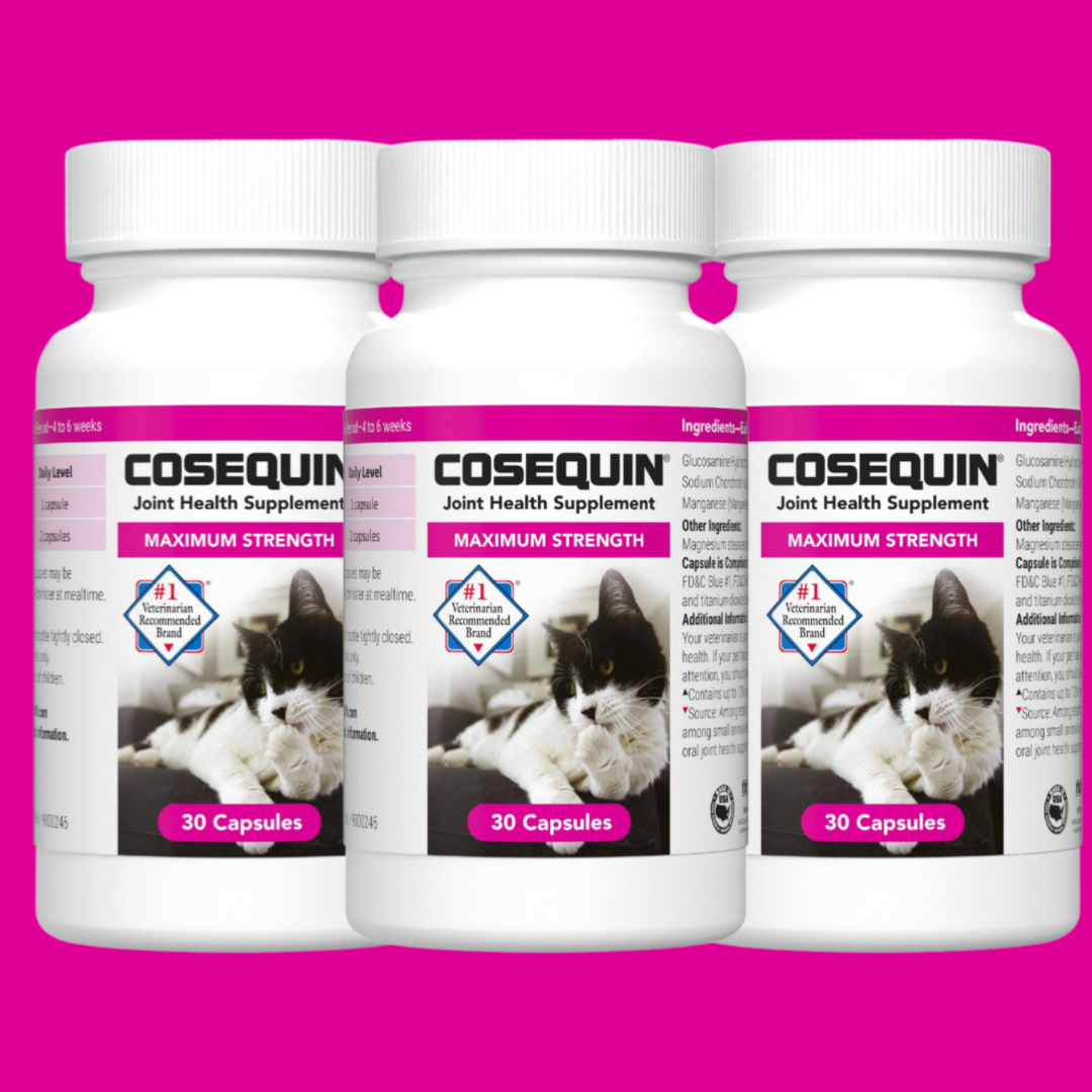 Cosequin Cats Capsules with Glucosamine & Chondroitin 30ct