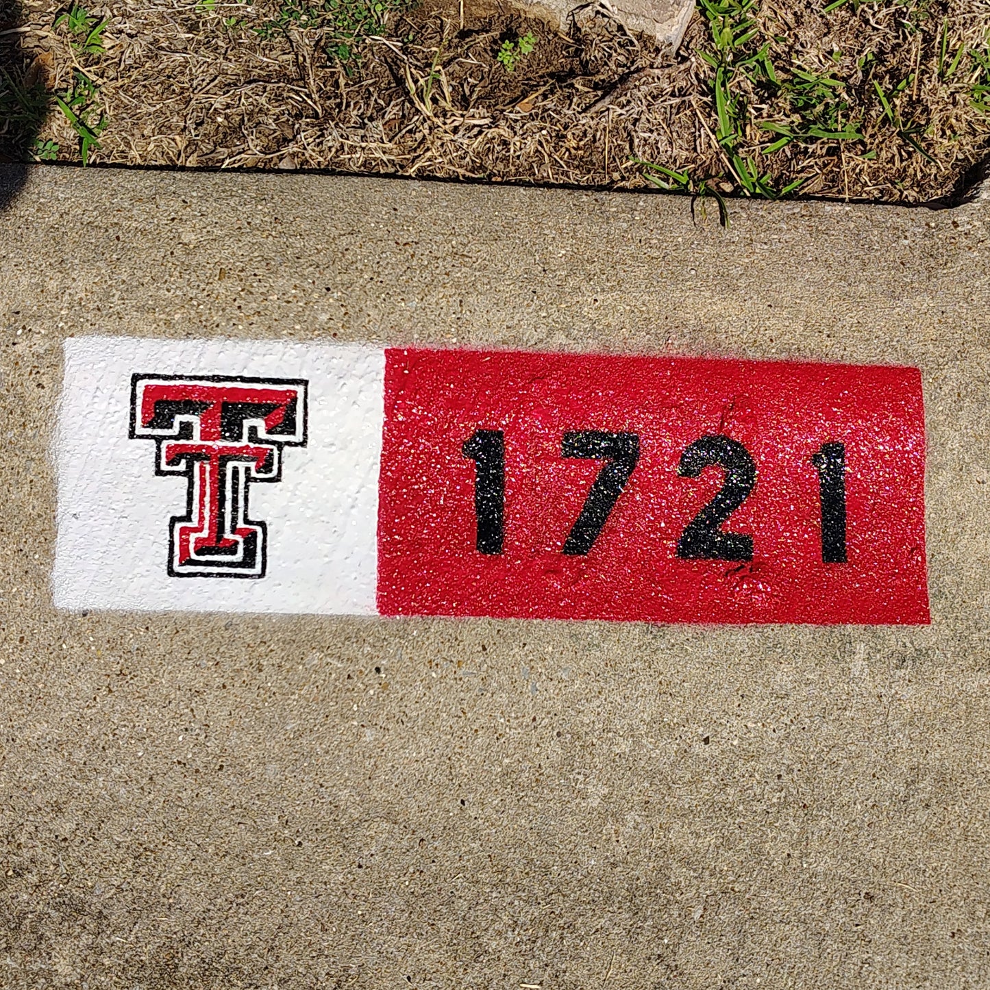 Texas Tech University City Curb Street Address and Logo Paintings