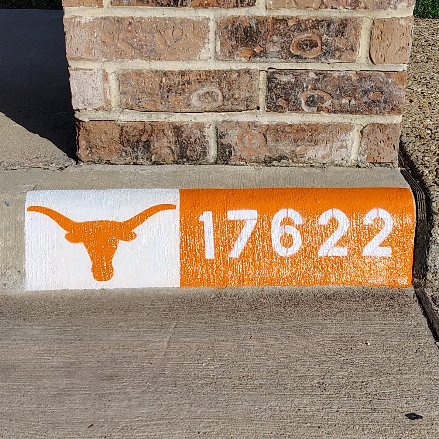 University of Texas Longhorn City Curb Street Address and Logo Paintings