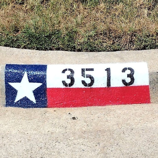 Texas Flag City Curb Street Address and Logo Paintings