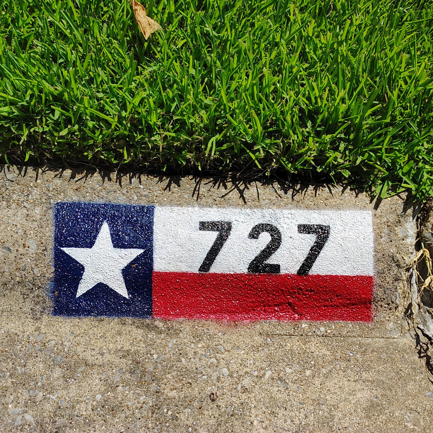 Texas Flag City Curb Street Address and Logo Paintings