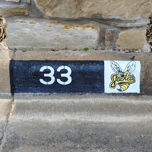 Denison Yellow Jackets City Curb Street Address and Logo Paintings