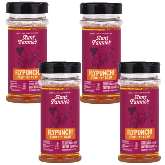 Aunt Fannie's FlyPunch! Fruit Fly Trap for Indoor Use, 6 oz